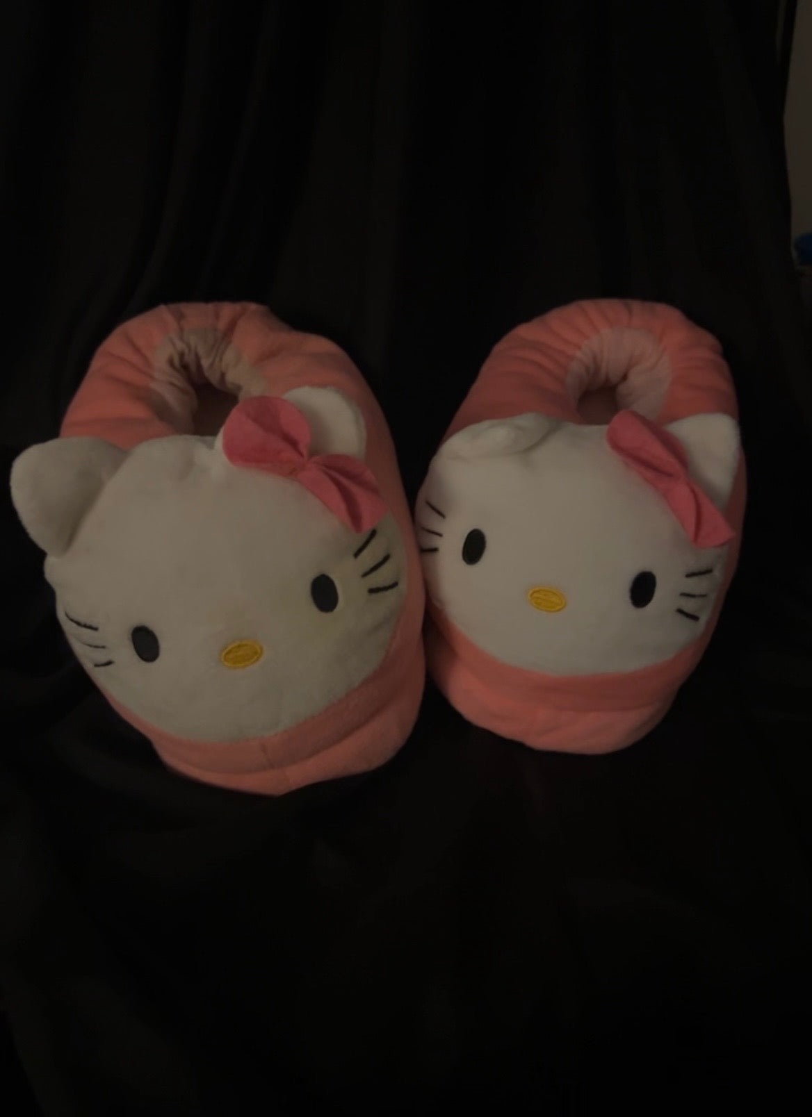 Hello kitty house shoes